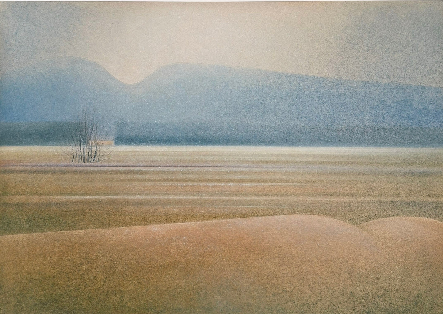 Drago Kos, Whispering Fields 2, 50 x 35 cm