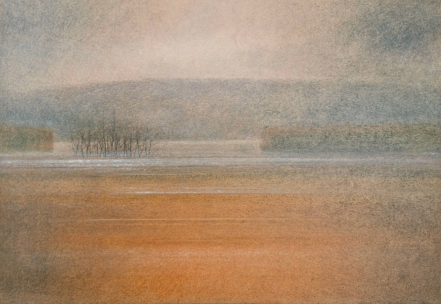 Drago Kos, Whispering Fields 4, 50 x 35 cm