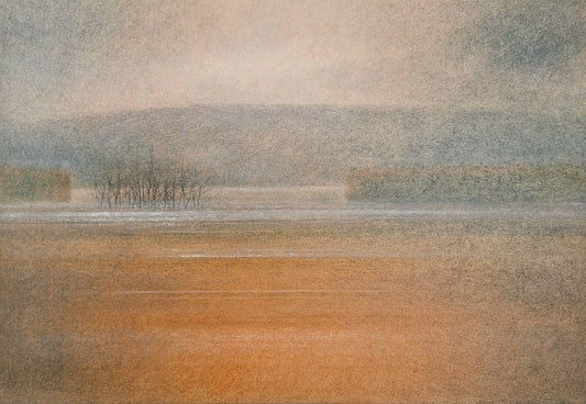 Drago Kos, Whispering Fields 4, 50 x 35 cm